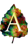 Autumn 4 alphabets