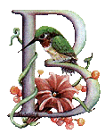 Oiseaux fleurs alphabets