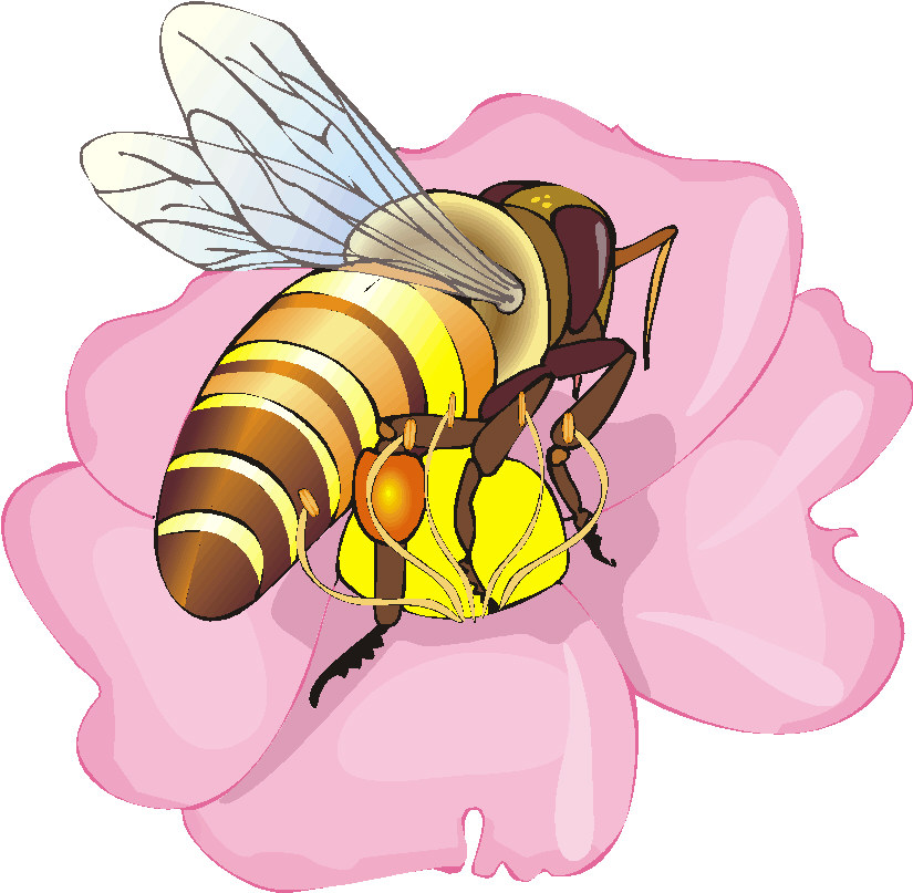 clipart gratuit abeille - photo #38