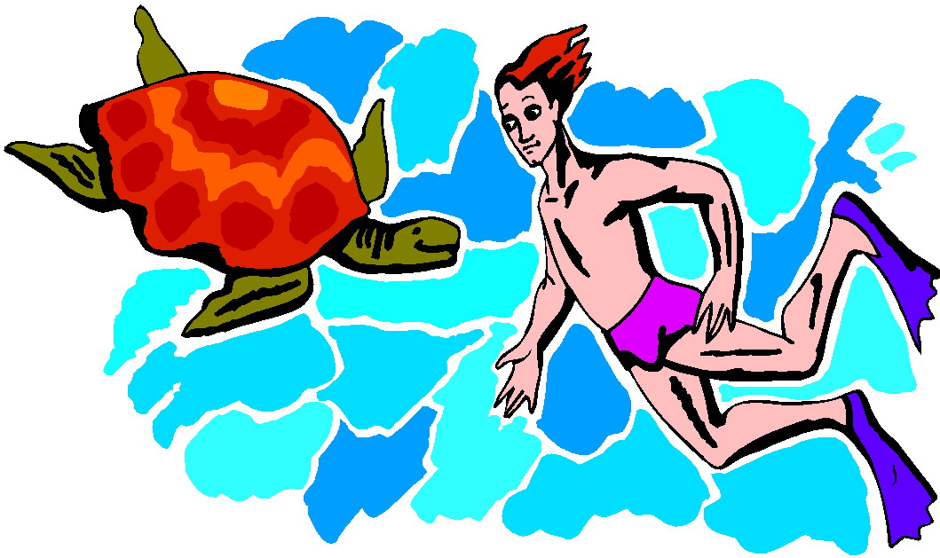 clipart tortue - photo #16