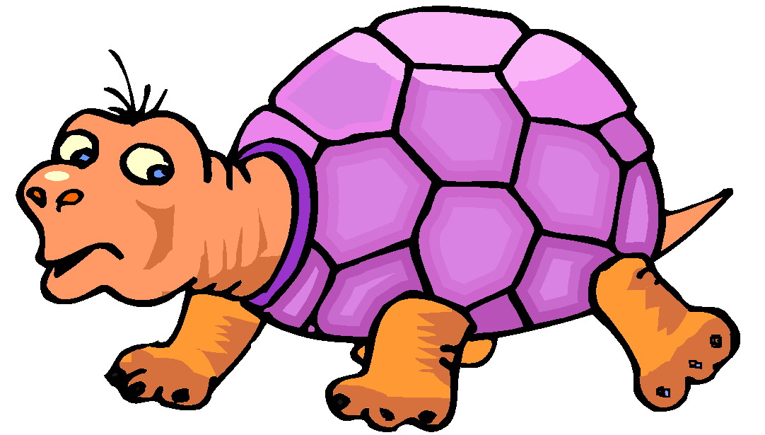 clipart tortue - photo #6
