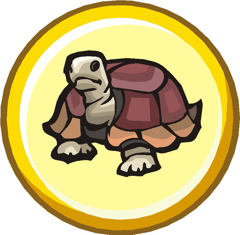 clipart tortue - photo #30