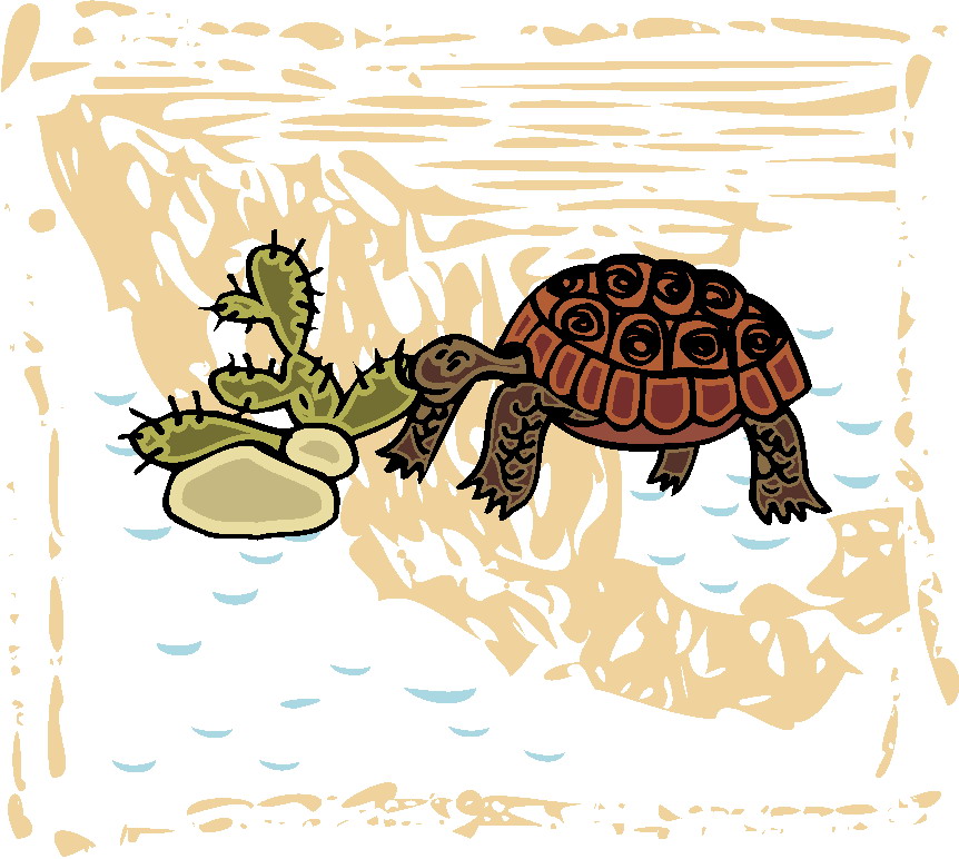 image clipart tortue - photo #20