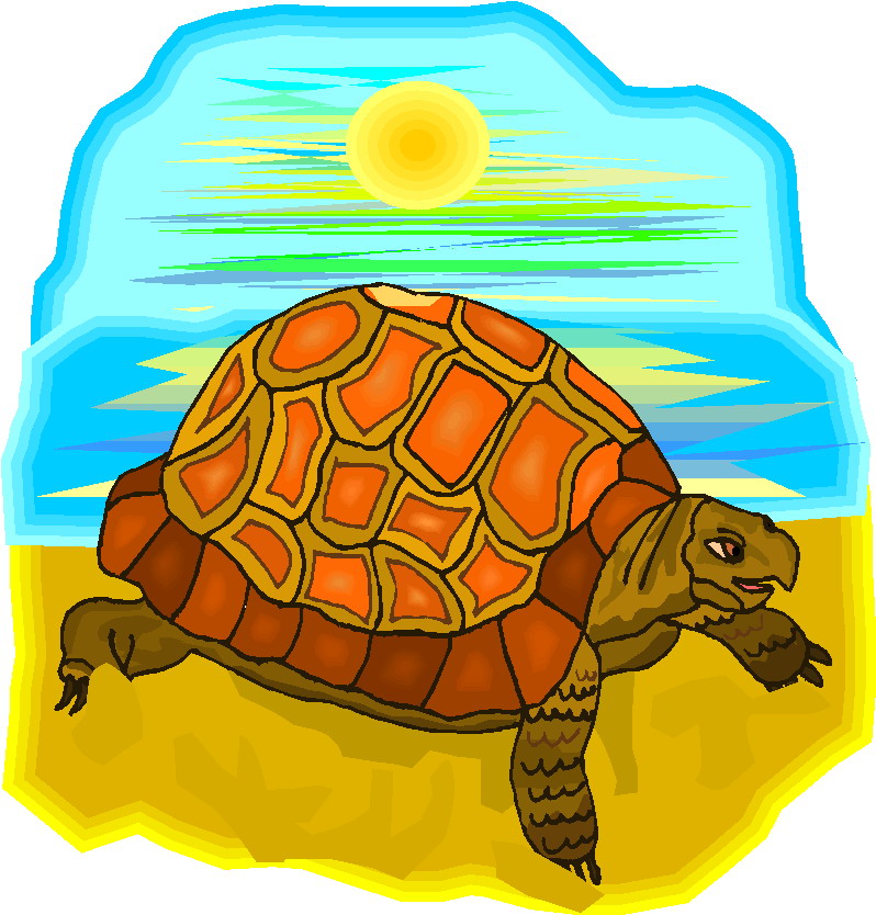 clipart tortue - photo #42
