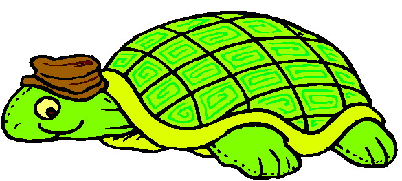 clipart tortue - photo #22