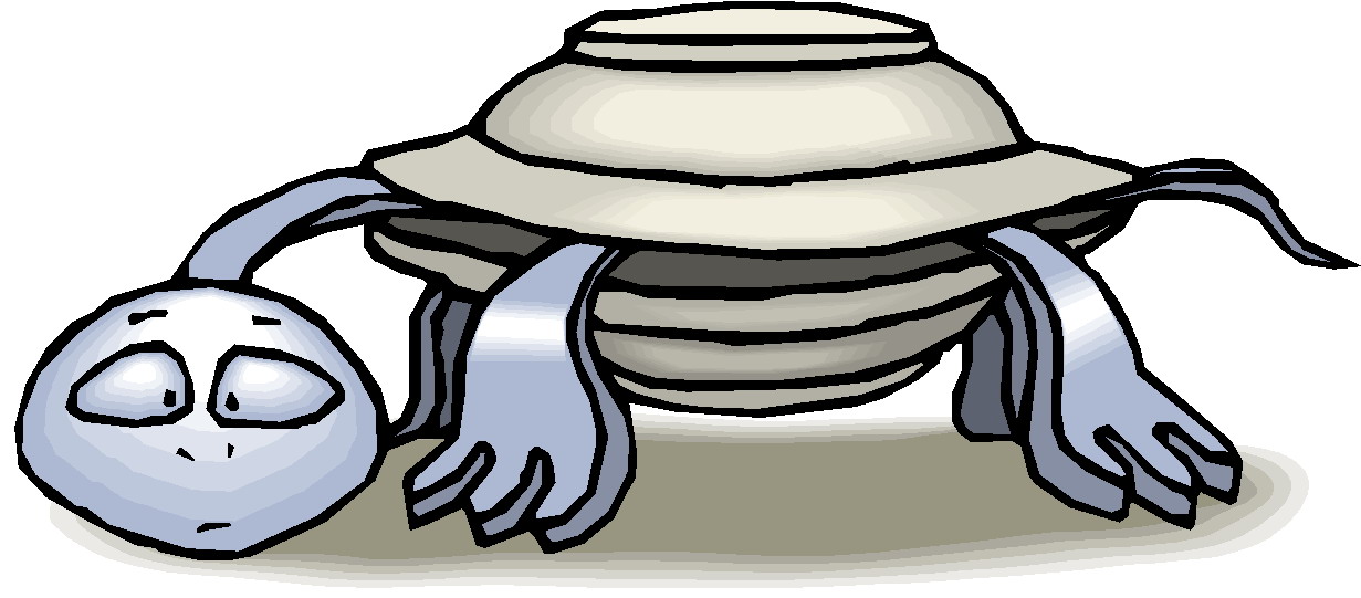 clipart tortue - photo #28