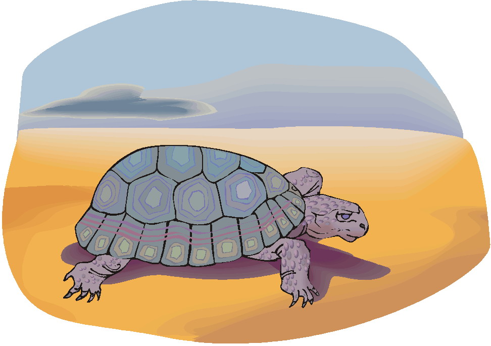 clipart tortue - photo #37