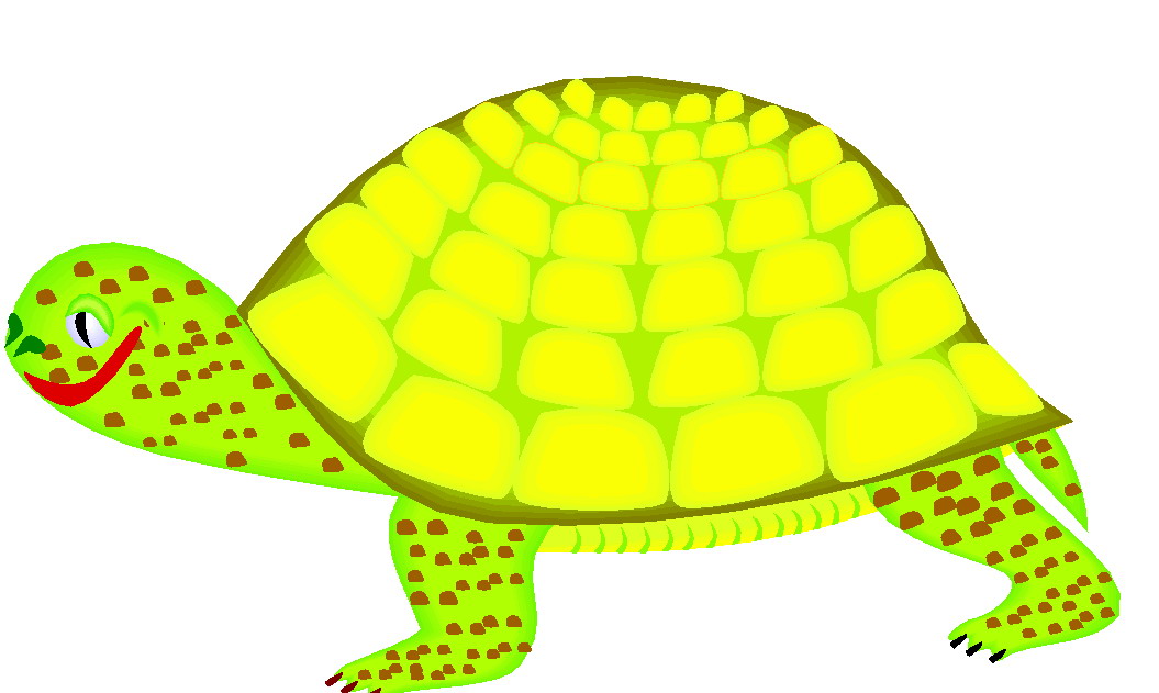 clipart tortue - photo #11