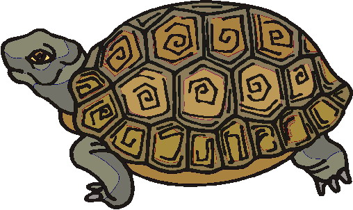 clipart tortue - photo #35