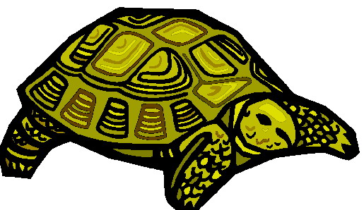 clipart tortue - photo #19