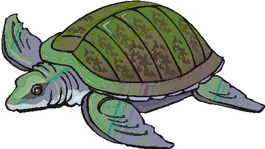 clipart tortue - photo #18