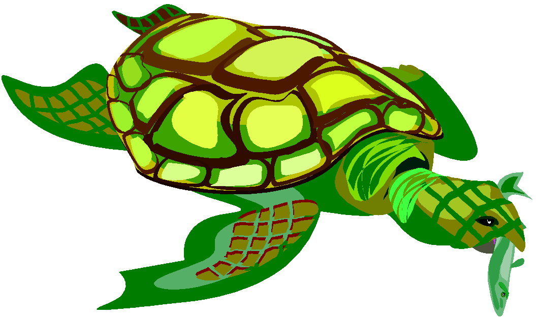 clipart tortue - photo #1