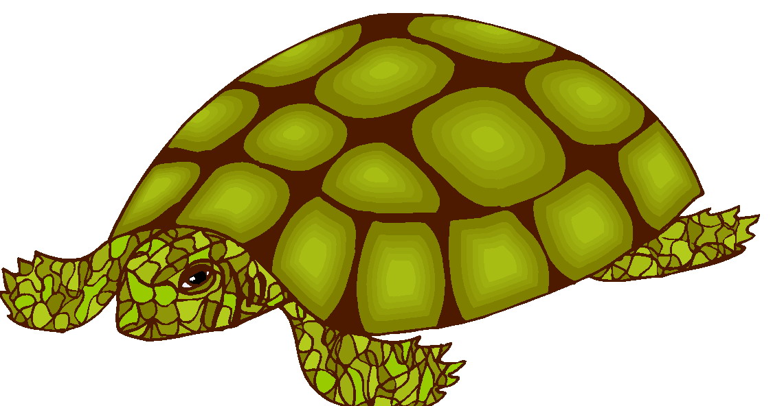clipart tortue - photo #3