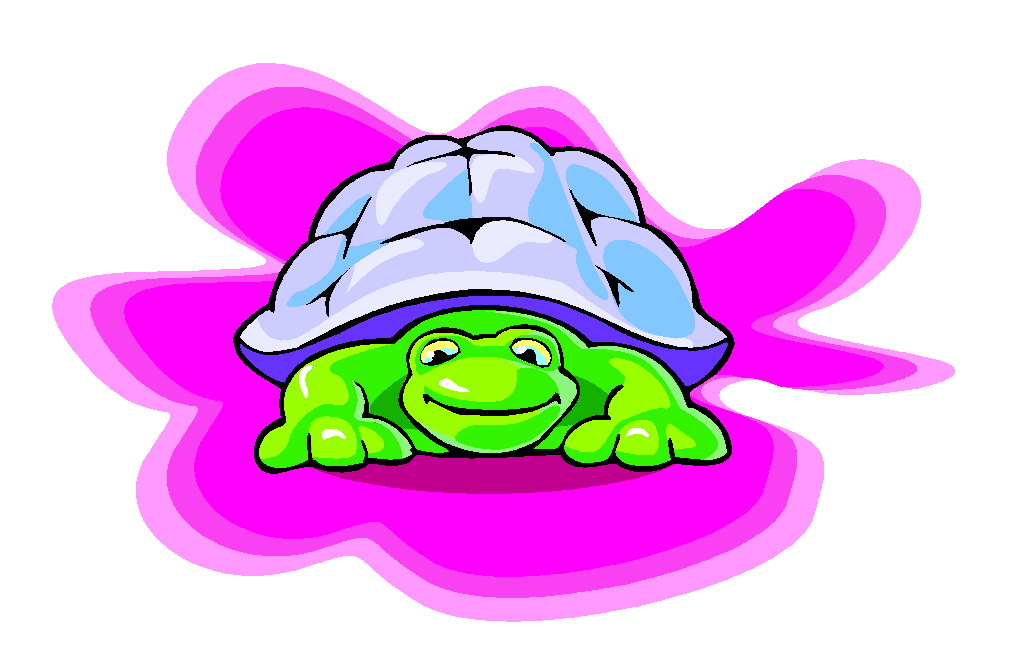 clipart tortue - photo #17