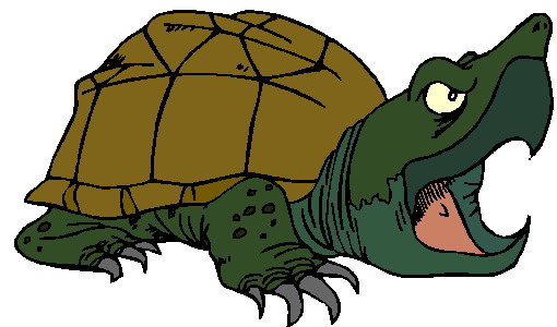 clipart tortue - photo #14