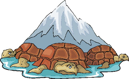 clipart tortue - photo #15