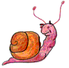 Escargots images