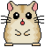 Hamsters images