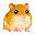 Hamsters images
