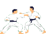 Judo images