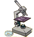 Microscope images