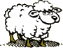 Moutons images