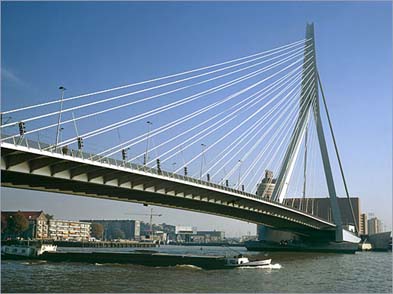 Rotterdam images