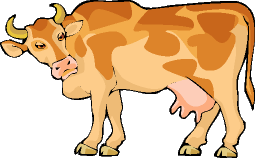 Vaches images