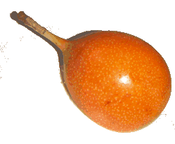 Fruit