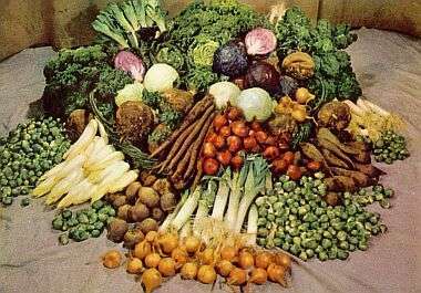 Legumes aliments et boissons