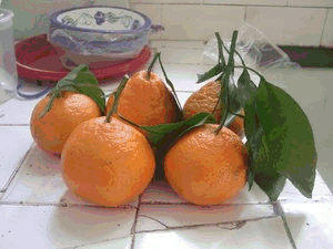 Tangerine aliments et boissons