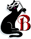 Black cat 3