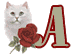 Chat a la rose alphabets