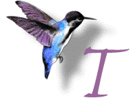 Colibri alphabets