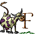 Cow 4 alphabets