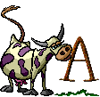 Cow 4 alphabets