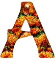D orange alphabets