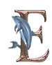 Dolphin 2 transparent alphabets