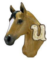 Equine alphabets