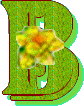 Fille de fleur alphabets