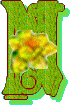 Fille de fleur alphabets