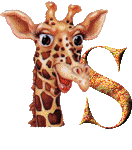 Girafe 5 alphabets