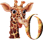 Girafe 5 alphabets