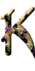 Lapins avec des fleurs alphabets