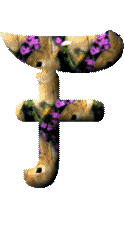Lapins avec des fleurs alphabets