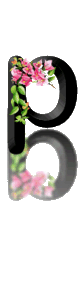 Noire avec des fleurs alphabets