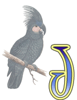 Oiseaux 2 alphabets