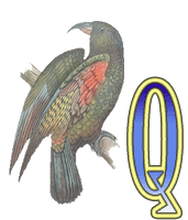 Oiseaux 2 alphabets