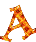 Orange 4 alphabets