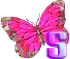 Papillons rose alphabets